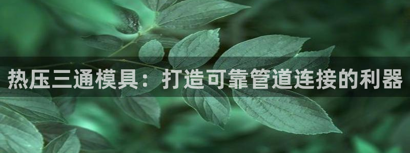 emc低频不过