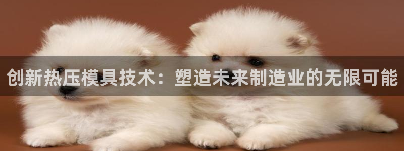 易倍申竞品：创新热压模具技术：塑造未来制造业的无限可能