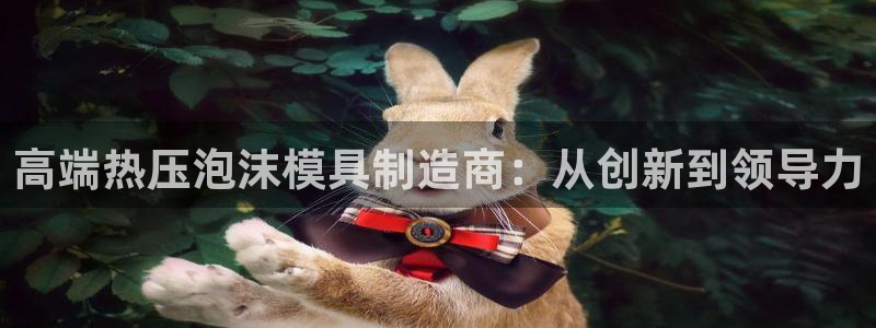 易倍纤使用方法：高端热压泡沫模具制造商：从创新到领导力