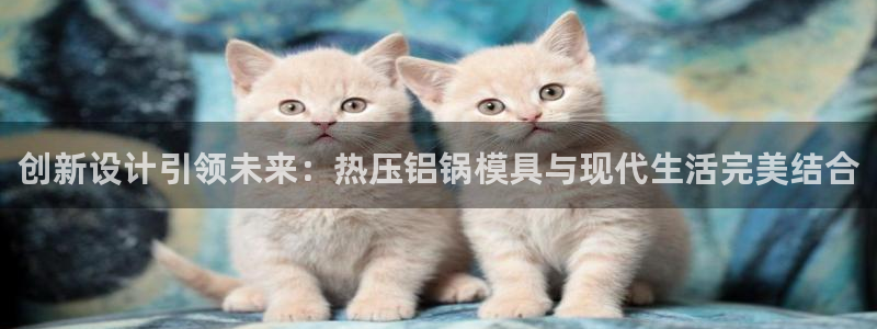 易倍纤减肥反弹不：创新设计引领未来：热压铝锅模具与现代生