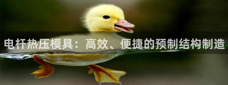 易倍单词app：电杆热压模具：高效、便捷的预制结构制造