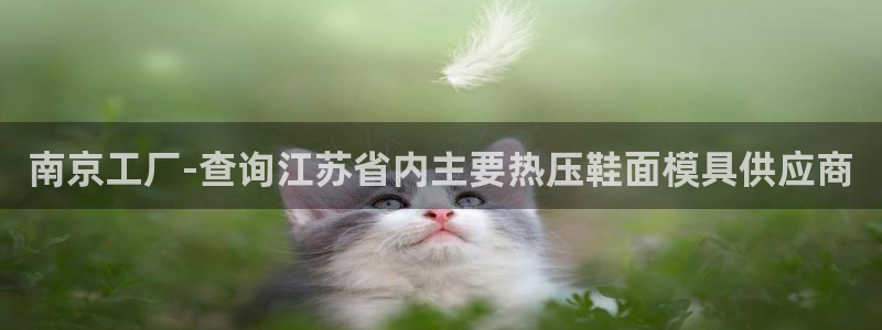 易倍app官网下载：南京工厂-查询江苏省内主要热压鞋面模