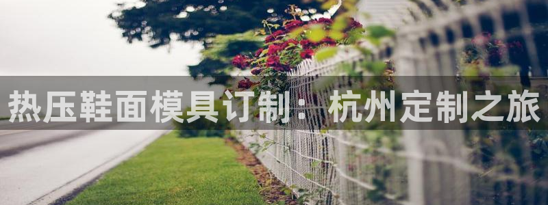 emc频率范围：热压鞋面模具订制：杭州定制之旅
