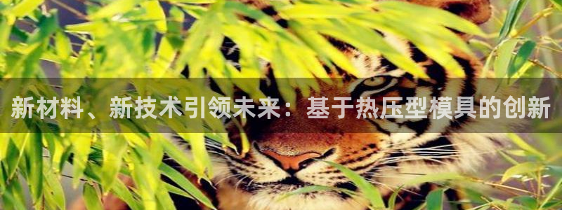 易倍单词登录网站：新材料、新技术引领未来：基于热压型模具