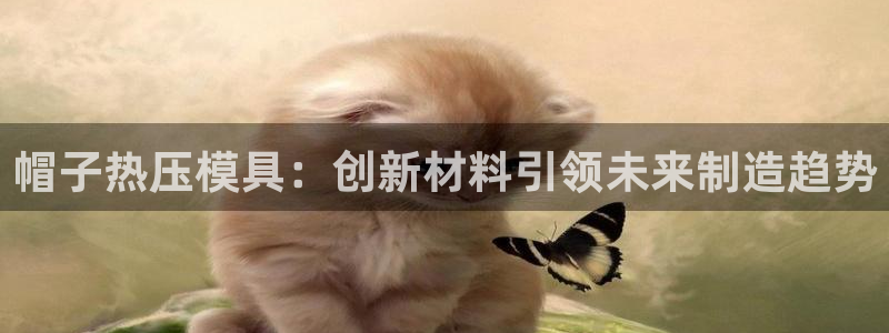emc易倍全站官网：帽子热压模具：创新材料引领未来制造趋