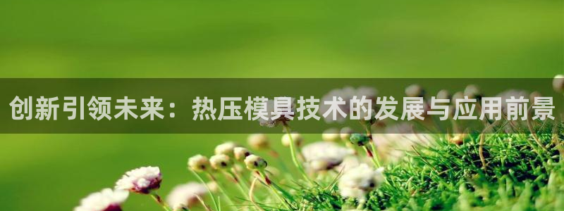 易倍纤官网：创新引领未来：热压模具技术的发展与应用前景