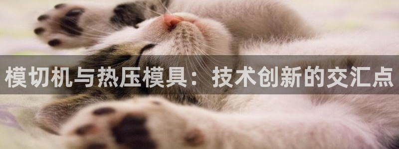 易倍app官网下载