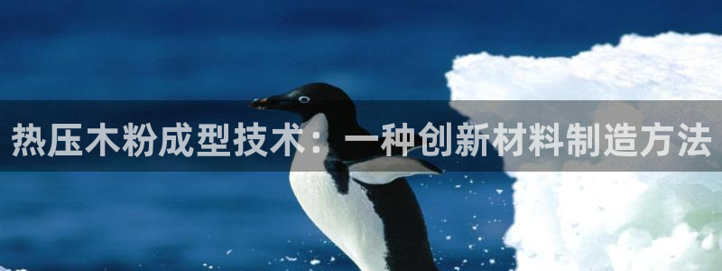 易倍纤代餐奶昔减肥效果怎么样：热压木粉成型技术：一种创新