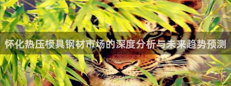emc易倍官网app：怀化热压模具钢材市场的深度分析与未
