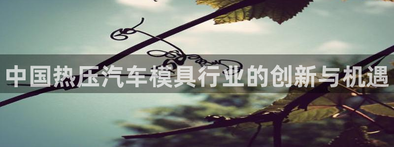 emc全站下载地址：中国热压汽车模具行业的创新与机遇