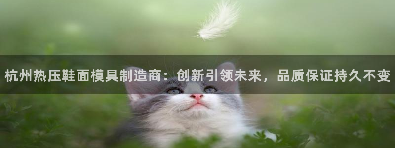易倍申片：杭州热压鞋面模具制造商：创新引领未来，品质保证