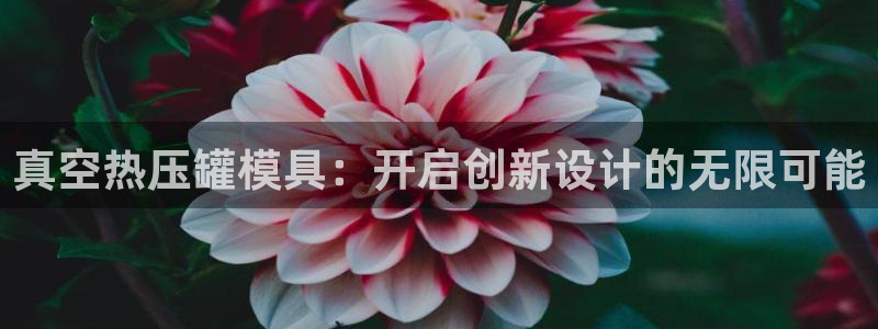 易倍申片：真空热压罐模具：开启创新设计的无限可能
