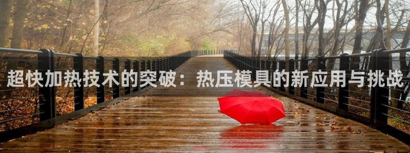 易倍单词登录平台：超快加热技术的突破：热压模具的新应用与