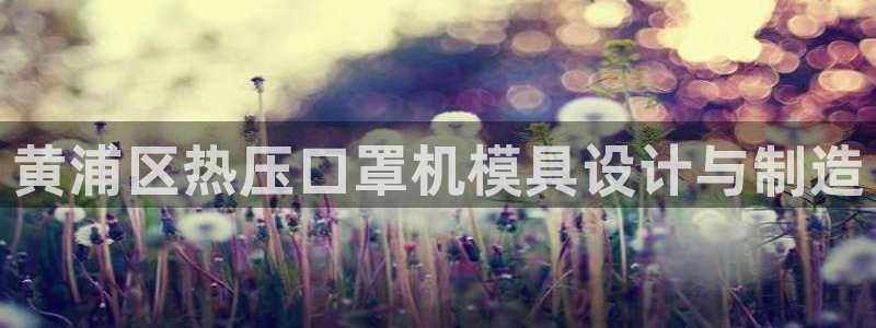 易倍网络技术有限公司：黄浦区热压口罩机模具设计与制造