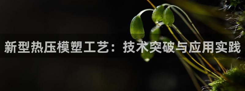 易倍纤能减肥吗：新型热压模塑工艺：技术突破与应用实践
