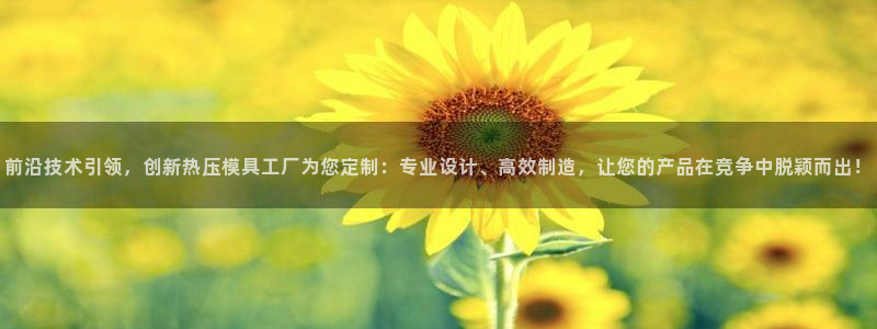 emc易倍网页版：前沿技术引领，创新热压模具工厂为您定制