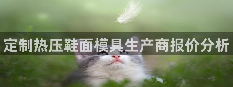 易倍电竞,有球必应：定制热压鞋面模具生产商报价分析