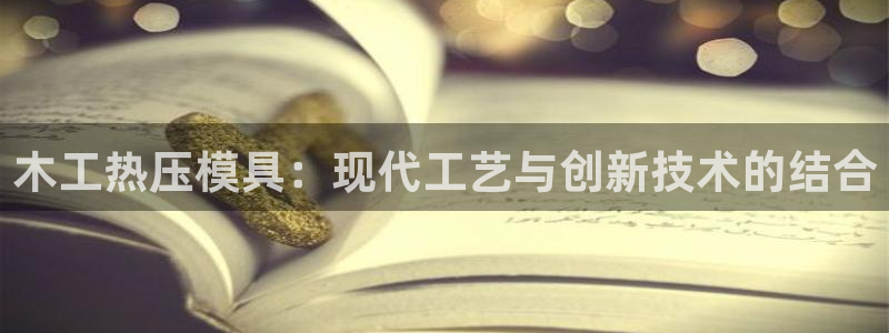 上海易倍投资有限公司：木工热压模具：现代工艺与创新技术的