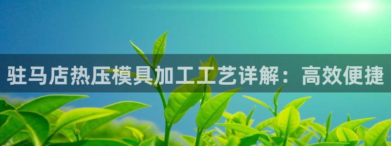 emc易倍下载：驻马店热压模具加工工艺详解：高效便捷