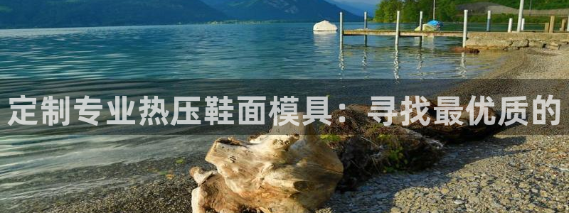 emc易倍出空款：定制专业热压鞋面模具：寻找最优质的