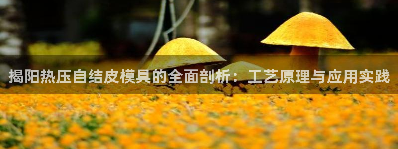 易倍申价格：揭阳热压自结皮模具的全面剖析：工艺原理与应用
