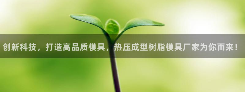 emc全站易倍：创新科技，打造高品质模具，热压成型树脂模