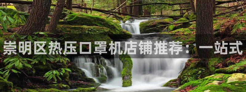 emc易倍穆里尼奥：崇明区热压口罩机店铺推荐：一站式