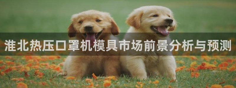 易倍纤能减肥吗：淮北热压口罩机模具市场前景分析与预测