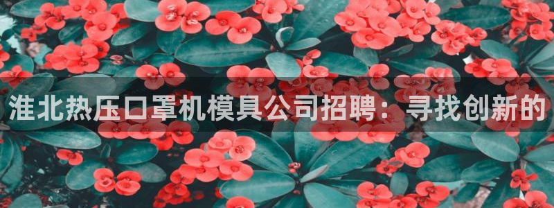 易倍纤代餐奶昔减肥效果怎么样：淮北热压口罩机模具公司招聘