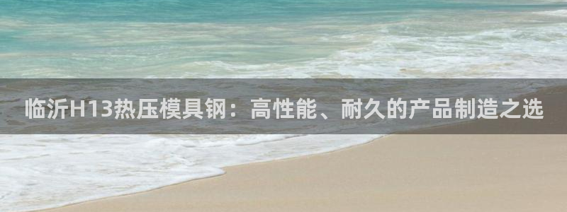 易倍达怎么样：临沂H13热压模具钢：高性能、耐久的产品制
