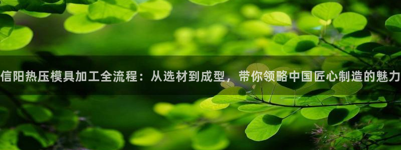 emc易倍在线登录：信阳热压模具加工全流程：从选材到成型