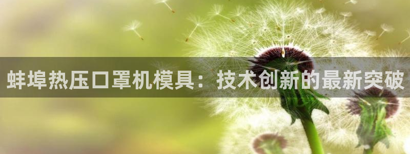 emc服务器是什么：蚌埠热压口罩机模具：技术创新的最新突