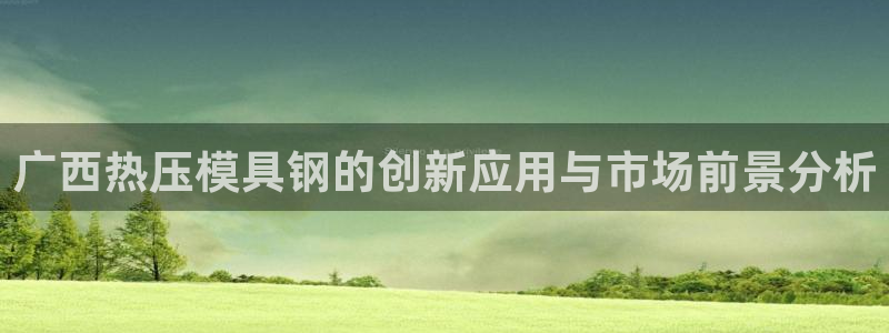 易倍单词登录平台：广西热压模具钢的创新应用与市场前景分析
