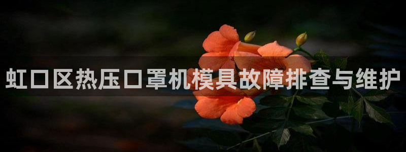 EMC易倍官方平台：虹口区热压口罩机模具故障排查与维护