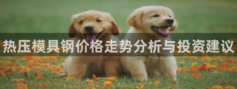 易倍申有用吗：热压模具钢价格走势分析与投资建议