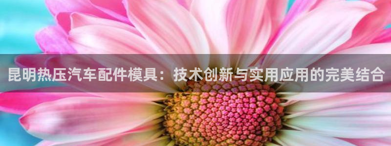 易倍单词app：昆明热压汽车配件模具：技术创新与实用应用