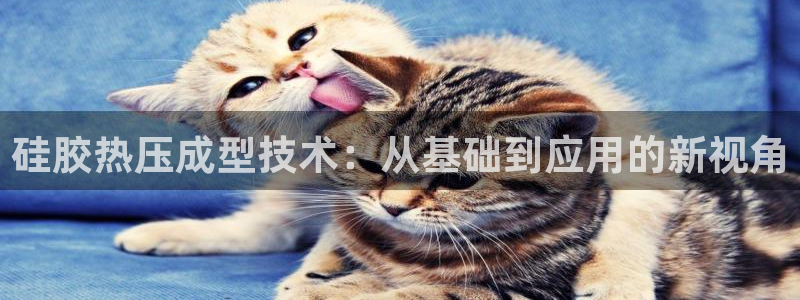 易倍申和易倍清的区别：硅胶热压成型技术：从基础到应用的新