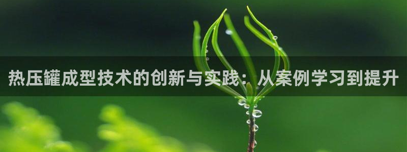 emc登录网站：热压罐成型技术的创新与实践：从案例学习到
