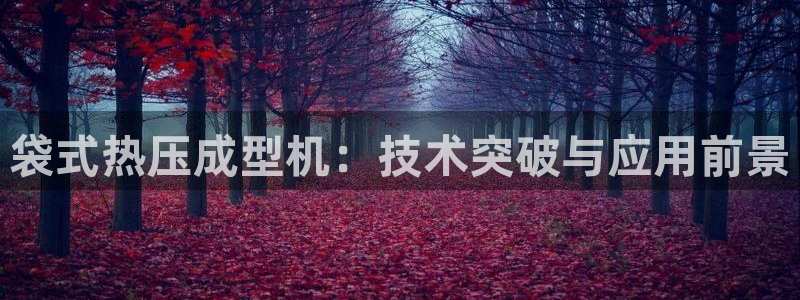 低频的emc用什么滤波：袋式热压成型机：技术突破与应用前