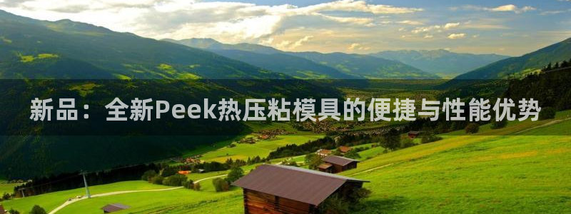 易倍单词官方网站的