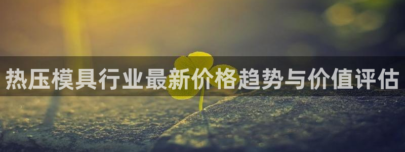 易倍单词app：热压模具行业最新价格趋势与价值评估