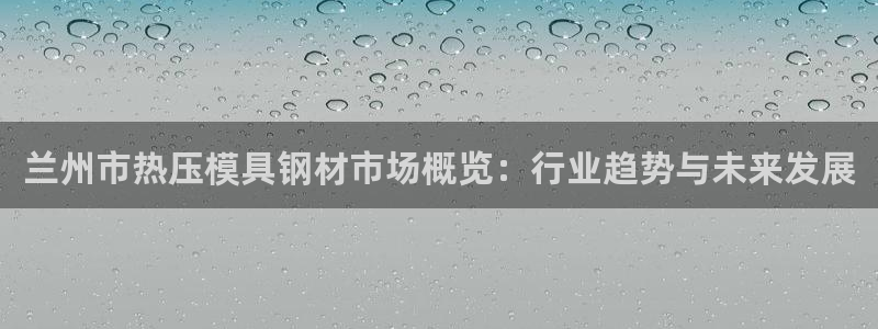 易倍纤谷物粉效果好吗：兰州市热压模具钢材市场概览：行业趋