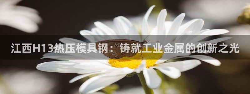 易倍单词如何下载：江西H13热压模具钢：铸就工业金属的创