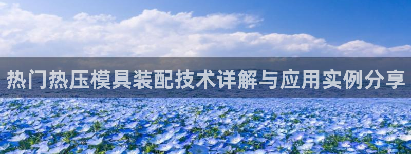 EMC易倍让身份验证：热门热压模具装配技术详解与应用实例
