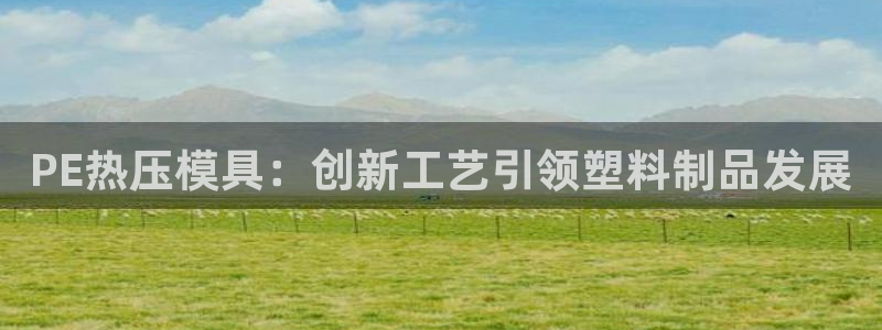 EMC易倍：PE热压模具：创新工艺引领塑料制品发展