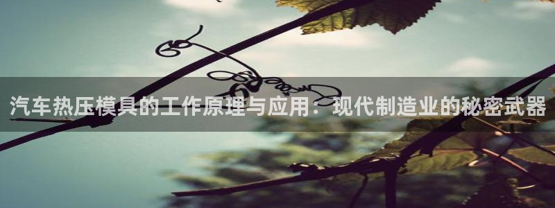 emc易倍官网：汽车热压模具的工作原理与应用：现代制造业