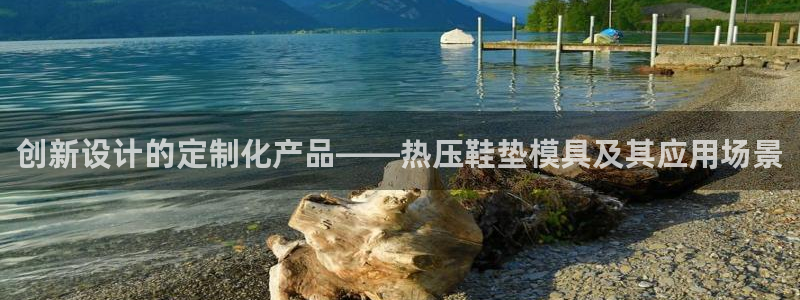 易倍emc网址：创新设计的定制化产品——热压鞋垫模具及其