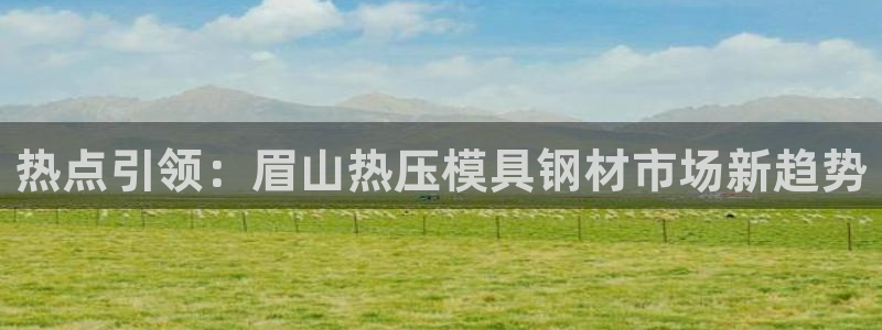 易倍网络技术有限公司招聘：热点引领：眉山热压模具钢材市场