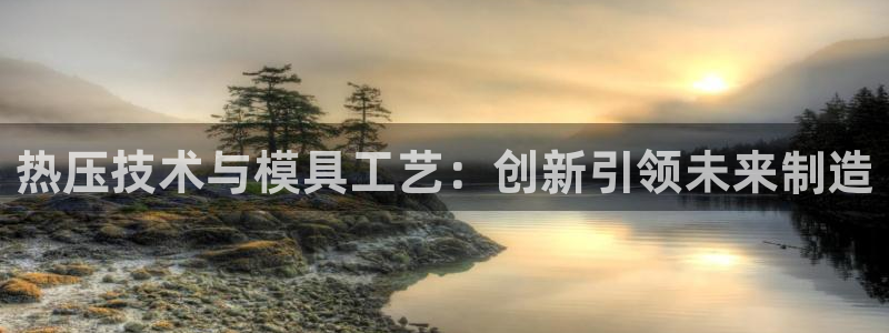 emc服务器是干啥的：热压技术与模具工艺：创新引领未来制