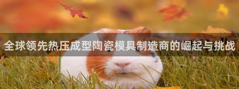 易倍思怎么样：全球领先热压成型陶瓷模具制造商的崛起与挑战